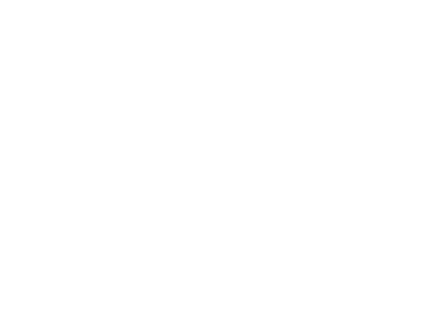 The Toxic Girls